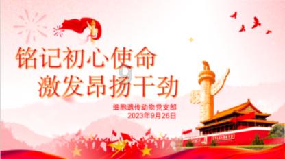 彩虹六号围攻